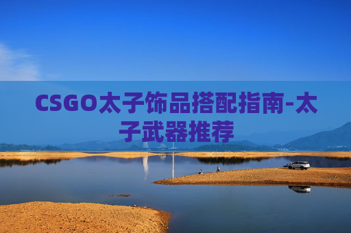 CSGO太子饰品搭配指南-太子武器推荐