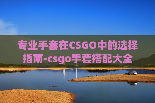 专业手套在CSGO中的选择指南-csgo手套搭配大全