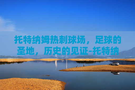 托特纳姆热刺球场，足球的圣地，历史的见证-托特纳姆热刺球场叫什么