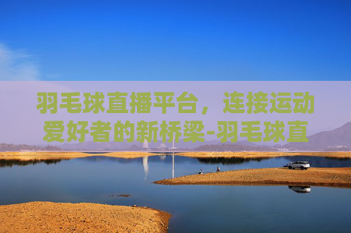 羽毛球直播平台，连接运动爱好者的新桥梁-羽毛球直播平台有哪些