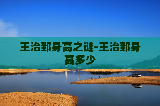 王治郅身高之谜-王治郅身高多少