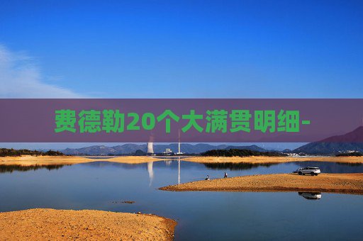 费德勒20个大满贯明细-