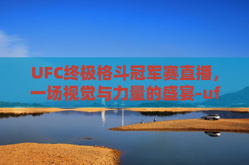 UFC终极格斗冠军赛直播，一场视觉与力量的盛宴-ufc终极格斗冠军赛直播视频