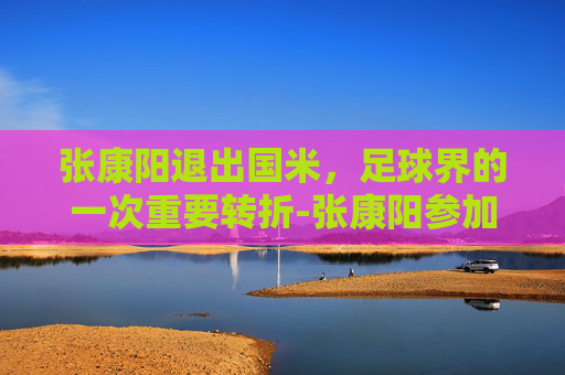 张康阳退出国米，足球界的一次重要转折-张康阳参加国米