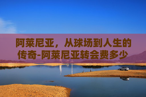 阿莱尼亚，从球场到人生的传奇-阿莱尼亚转会费多少