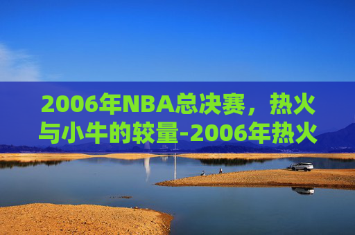 2006年NBA总决赛，热火与小牛的较量-2006年热火和小牛