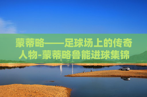 蒙蒂略——足球场上的传奇人物-蒙蒂略鲁能进球集锦