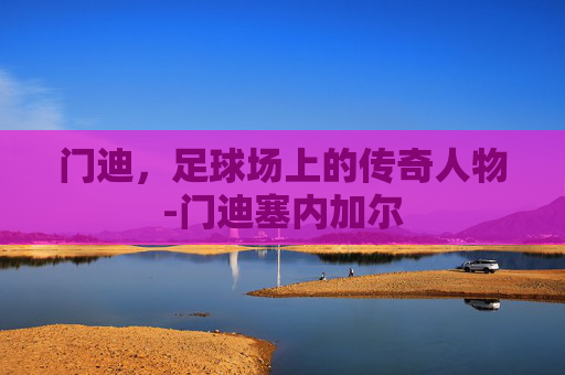 门迪，足球场上的传奇人物-门迪塞内加尔