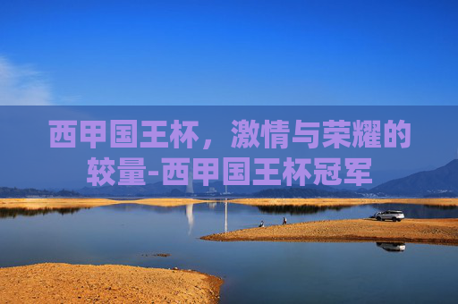 西甲国王杯，激情与荣耀的较量-西甲国王杯冠军