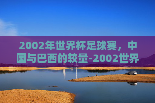 2002年世界杯足球赛，中国与巴西的较量-2002世界杯中国vs巴西回放