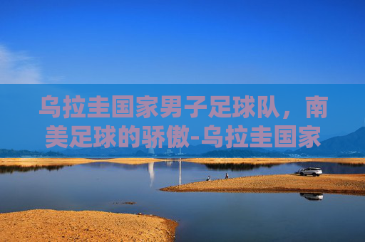 乌拉圭国家男子足球队，南美足球的骄傲-乌拉圭国家男子足球队名单