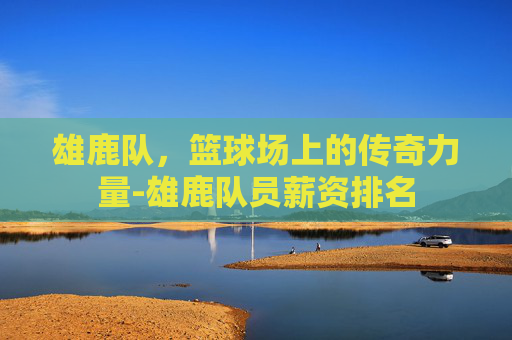 雄鹿队，篮球场上的传奇力量-雄鹿队员薪资排名