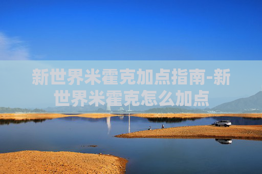 新世界米霍克加点指南-新世界米霍克怎么加点