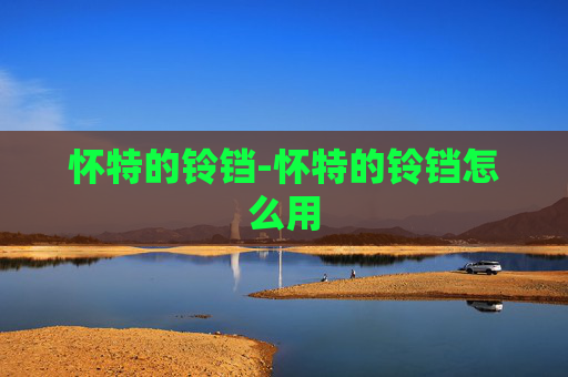 怀特的铃铛-怀特的铃铛怎么用