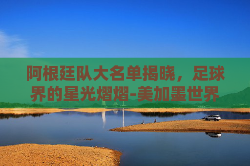 阿根廷队大名单揭晓，足球界的星光熠熠-美加墨世界杯阿根廷队大名单