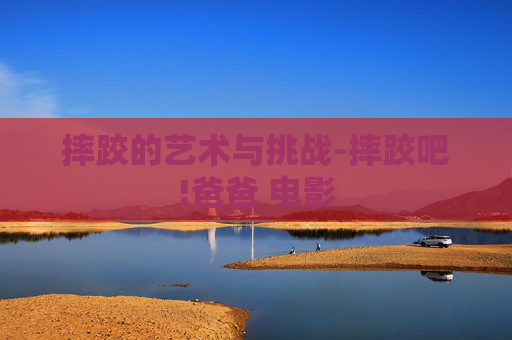 摔跤的艺术与挑战-摔跤吧!爸爸 电影