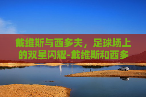 戴维斯与西多夫，足球场上的双星闪耀-戴维斯和西多夫谁厉害 虎扑
