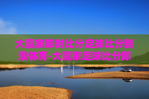 大赢家即时比分足球比分新浪体育-大赢家足球比分即时比分赢