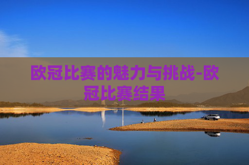 欧冠比赛的魅力与挑战-欧冠比赛结果