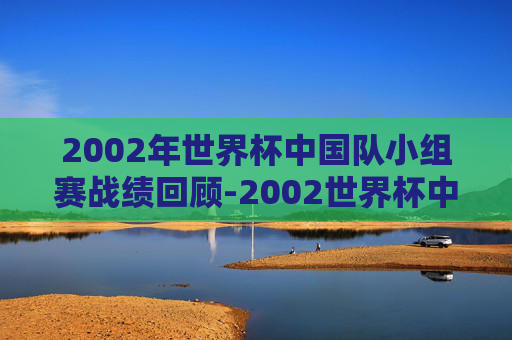 2002年世界杯中国队小组赛战绩回顾-2002世界杯中国队小组赛战绩如何