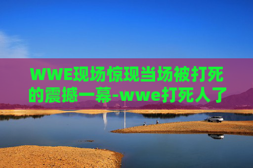 WWE现场惊现当场被打死的震撼一幕-wwe打死人了吗