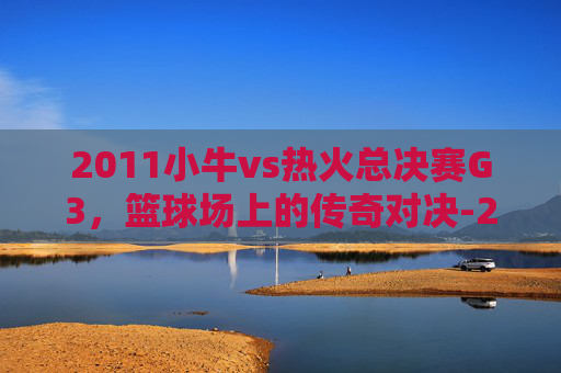 2011小牛vs热火总决赛G3，篮球场上的传奇对决-2011年小牛对热火全部比赛