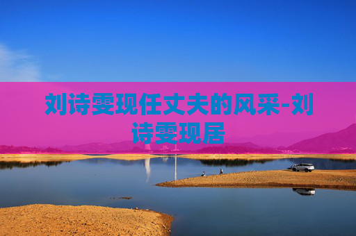 刘诗雯现任丈夫的风采-刘诗雯现居
