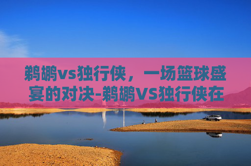 鹈鹕vs独行侠，一场篮球盛宴的对决-鹈鹕VS独行侠在线直播