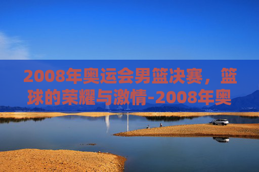 2008年奥运会男篮决赛，篮球的荣耀与激情-2008年奥运会男篮决赛数据