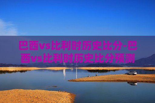 巴西vs比利时历史比分-巴西vs比利时历史比分预测