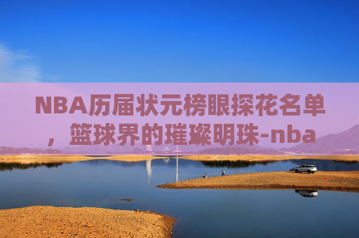 NBA历届状元榜眼探花名单，篮球界的璀璨明珠-nba2009状元榜眼探花