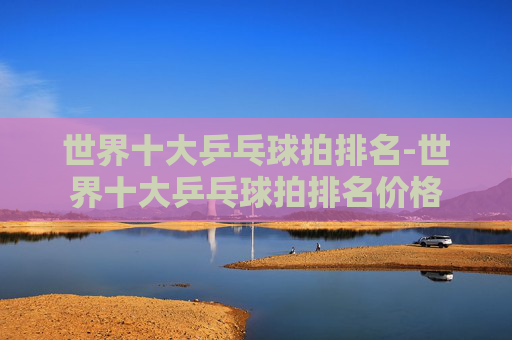 世界十大乒乓球拍排名-世界十大乒乓球拍排名价格