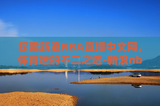 探索新浪NBA直播中文网，体育迷的不二之选-新浪nba中文网站