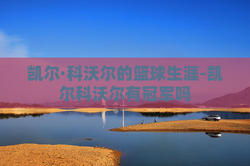 凯尔·科沃尔的篮球生涯-凯尔科沃尔有冠军吗
