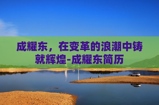 成耀东，在变革的浪潮中铸就辉煌-成耀东简历