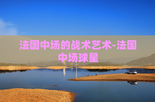 法国中场的战术艺术-法国中场球星