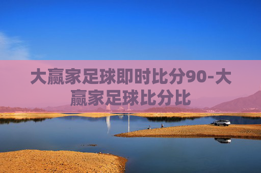 大赢家足球即时比分90-大赢家足球比分比