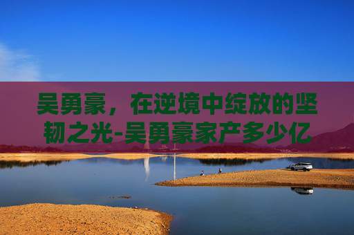 吴勇豪，在逆境中绽放的坚韧之光-吴勇豪家产多少亿
