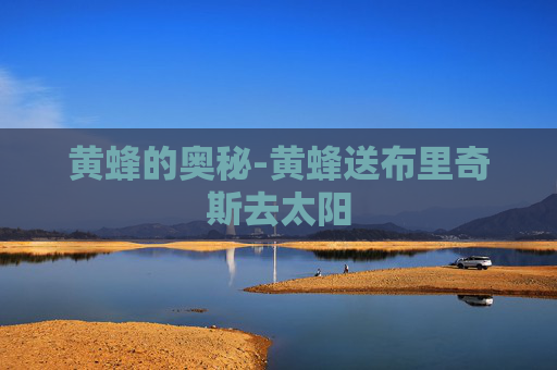 黄蜂的奥秘-黄蜂送布里奇斯去太阳