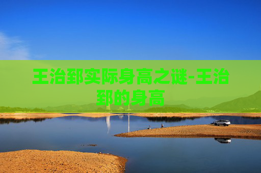王治郅实际身高之谜-王治郅的身高