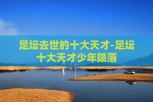 足坛去世的十大天才-足坛十大天才少年陨落