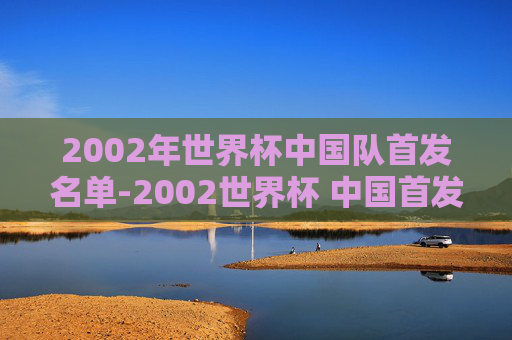 2002年世界杯中国队首发名单-2002世界杯 中国首发