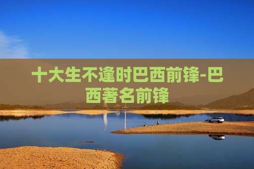 十大生不逢时巴西前锋-巴西著名前锋