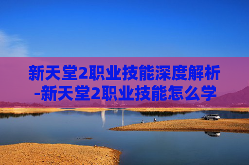 新天堂2职业技能深度解析-新天堂2职业技能怎么学