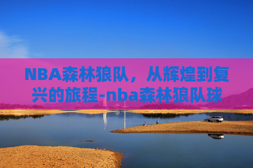 NBA森林狼队，从辉煌到复兴的旅程-nba森林狼队球员名单