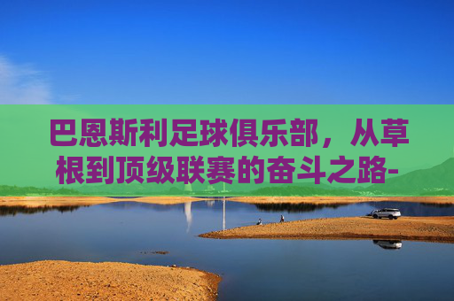 巴恩斯利足球俱乐部，从草根到顶级联赛的奋斗之路-巴恩斯利足球俱乐部官网