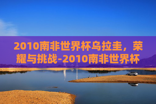 2010南非世界杯乌拉圭，荣耀与挑战-2010南非世界杯乌拉圭vs加纳