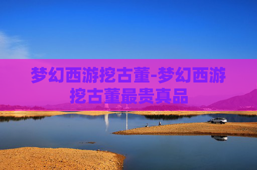梦幻西游挖古董-梦幻西游挖古董最贵真品