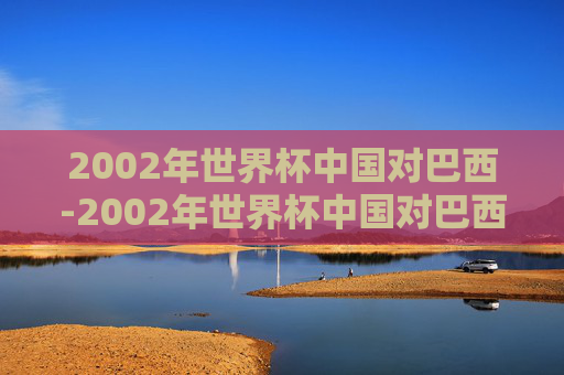 2002年世界杯中国对巴西-2002年世界杯中国对巴西首发