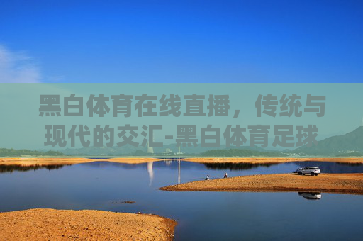 黑白体育在线直播，传统与现代的交汇-黑白体育足球直播